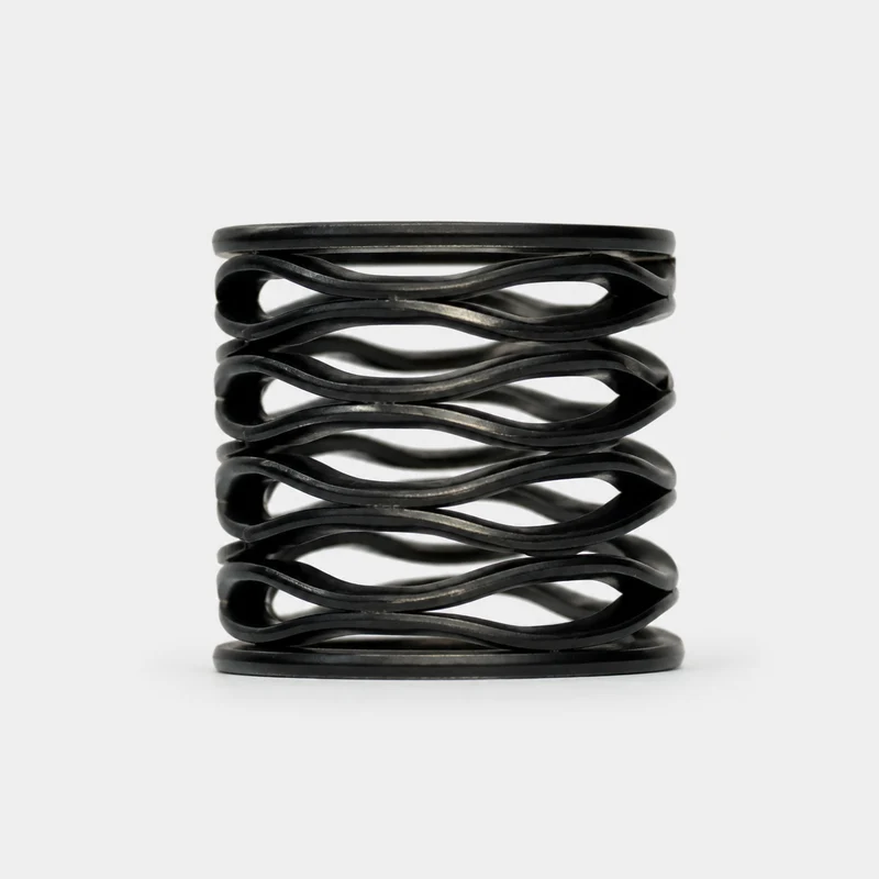 Infamous Skeleton Air Regulator Wave Spring
